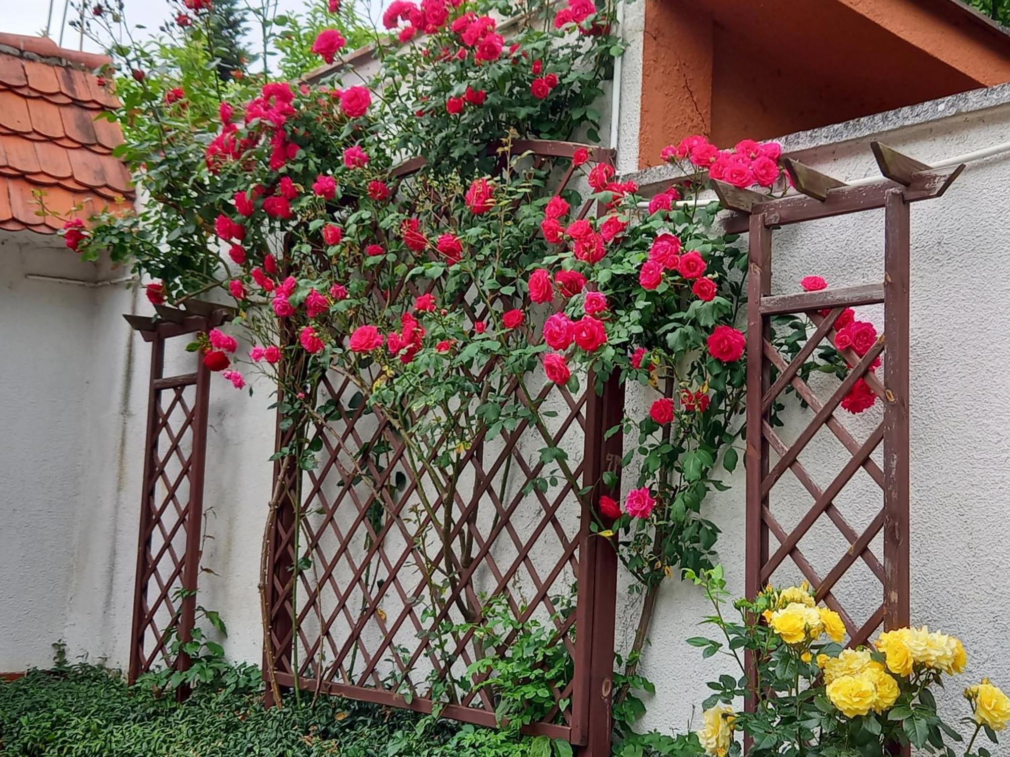 Apartament 2-Pokojowy 55 M2, Kolo Zoo, Hali Stulecia Wrocław Exterior foto